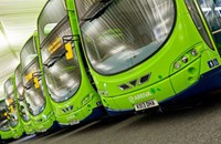 Green buses