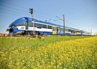 Blue train in field with yellow flowers