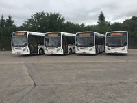 Four white buses