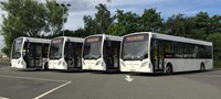Four white buses