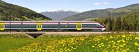 Coradia Meridian trains for Trentino