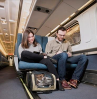 Amtrak expands pets program