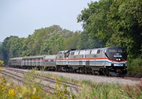 Amtrak welcomes pets 