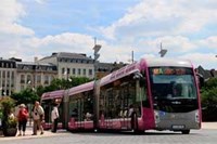 Purple and silver bendy bus