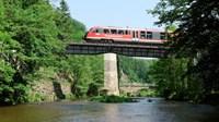 Red train on bridge in forest