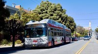 Bus driving through sunny street