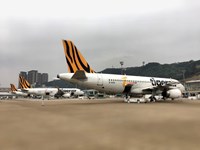 Tigerair airplane