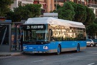 White and blue bus