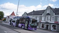 Purple bus