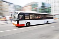 White and red bus